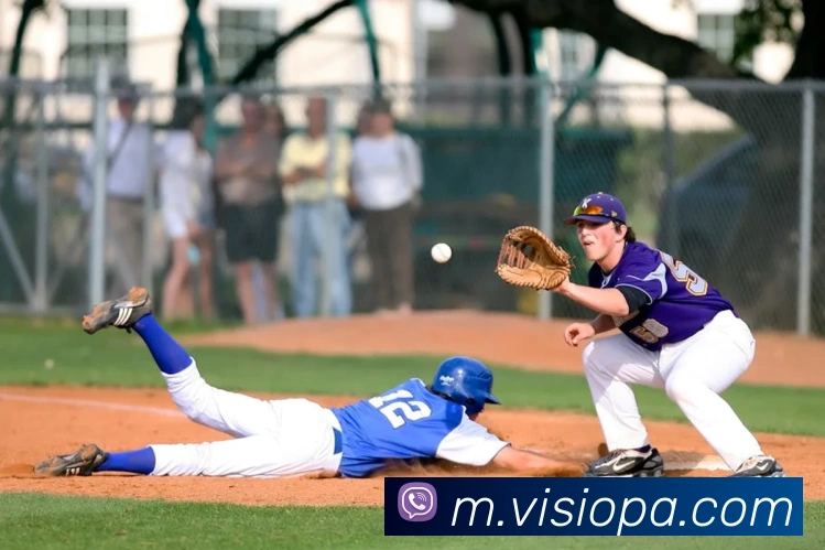 pa视讯发展历程